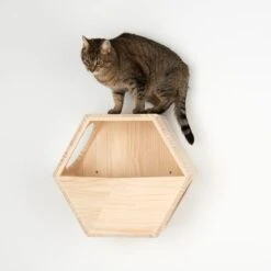 Lulu Wall Mounted Cat Den -Pet Supply Shop 105456 katzenhoehle lulu fg 8486 4