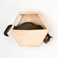 Lulu Wall Mounted Cat Den -Pet Supply Shop 105456 katzenhoehle lulu fg 8491 4