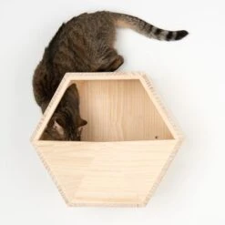 Lulu Wall Mounted Cat Den -Pet Supply Shop 105456 katzenhoehle lulu fg 8514 0