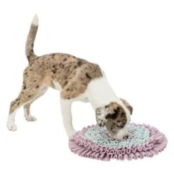 Trixie Junior Sniff And Search Mat -Pet Supply Shop 122207 pla trixie junior schnueffelteppich 38cm hs 05 4