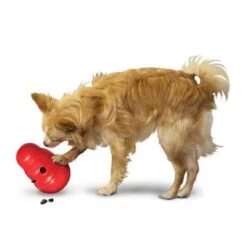 KONG Wobbler Dog Toy - L -Pet Supply Shop 1355067777031411080314 3