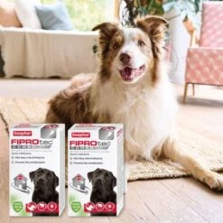 Beaphar FIPROtec® COMBO Flea & Tick Spot-On For Dogs - L (20-40kg) -Pet Supply Shop 14153 ecommerce fiprotec combo dog l gb 2022 5 3