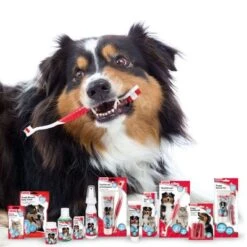 Beaphar Toothpaste -Pet Supply Shop 15317 priority 4 2