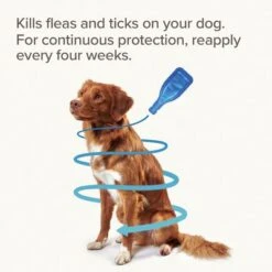 Beaphar FIPROtec® Flea & Tick Spot-on For Dogs - L (20-40kg) -Pet Supply Shop 15597 fiprotec dog l 4 pip priority 6 5