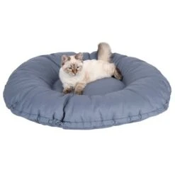 Cape Town 2-in-1 Cat Bed -Pet Supply Shop 203436 kapstadt und katze fg 9819 3