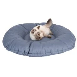 Cape Town 2-in-1 Cat Bed -Pet Supply Shop 203436 kapstadt und katze fg 9820 4