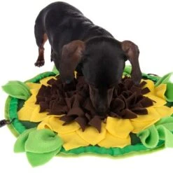 Sniffing Carpet Sunnyflower -Pet Supply Shop 229108 sunnyflower fg 0639 1