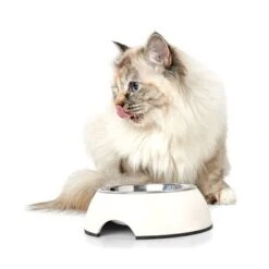 HUNTER Melamine Pet Bowl - White -Pet Supply Shop 26939 huntermelaminnapf hs 03 3