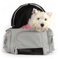 Sightseer Backpack Pet Carrier -Pet Supply Shop 305015 will rucksack 7485 03 2013 0