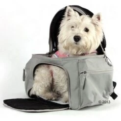 Sightseer Backpack Pet Carrier -Pet Supply Shop 305015 will rucksack 7490 03 2013 8