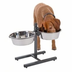 Dog Bowl Stand With 2 Stainless Steel Bowls -Pet Supply Shop 313523 kumar hundebar inklusive 2 edelstahln pfe 03 dsc5878 8