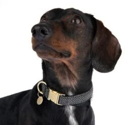 Nomad Tales Calma Collar - Ebony -Pet Supply Shop 326802 calma m fg 7356 5