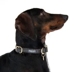 Nomad Tales Calma Collar - Ebony -Pet Supply Shop 326802 calma m fg 7363 0