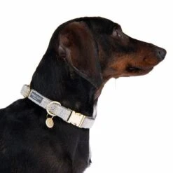 Nomad Tales Calma Collar - Stone -Pet Supply Shop 326807 calma m fg 7324 6