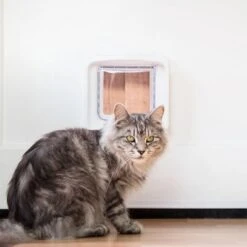 SureFlap DualScan Microchip Cat Flap - White -Pet Supply Shop 62267 sureflap mikrochip katzenklappe hs 04 9