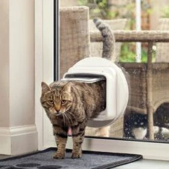 SureFlap DualScan Microchip Cat Flap - White -Pet Supply Shop 62267 sureflap mikrochip katzenklappe hs 05 3