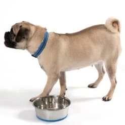 Premium Stainless Steel Bowl -Pet Supply Shop 75588 mops fg 5482 9