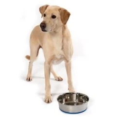 Premium Stainless Steel Bowl -Pet Supply Shop 75590 labra ridgeback fg 5548 1