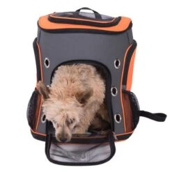 Voyage Rucksack -Pet Supply Shop 79332 rucksack voyage fg 7236 0