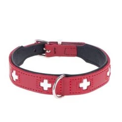 HUNTER Swiss Dog Collar -Pet Supply Shop dsc9098 0