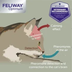 Feliway® Optimum Refill -Pet Supply Shop optimumrefill 3 9