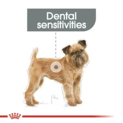 Royal Canin Mini Dental Care -Pet Supply Shop rc ccn dentalmini cv eretailkit 1 7