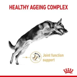 Royal Canin German Shepherd Adult 5+ -Pet Supply Shop rc spt dry germshep5 page 3 1 8